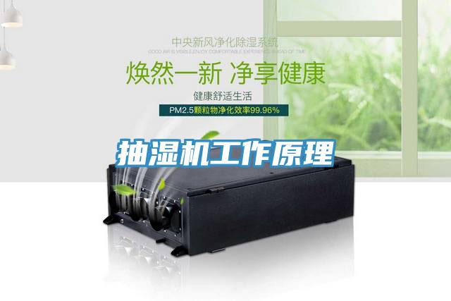 抽濕機(jī)工作原理