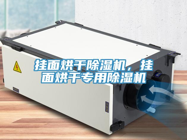 掛面烘干除濕機(jī)，掛面烘干專用除濕機(jī)