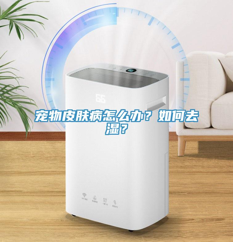 寵物皮膚病怎么辦？如何去濕？
