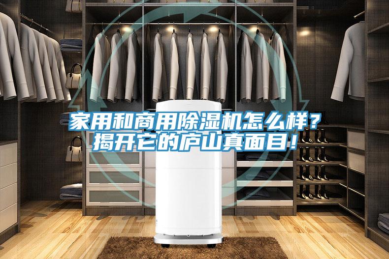 家用和商用除濕機怎么樣？揭開它的廬山真面目！