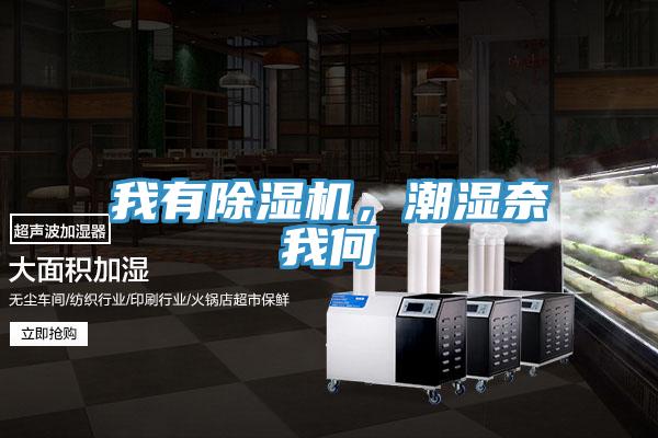 我有除濕機(jī)，潮濕奈我何