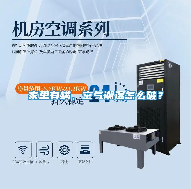 家里有螨，空氣潮濕怎么破？