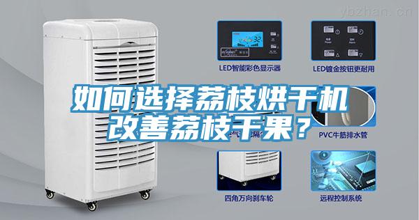 如何選擇荔枝烘干機改善荔枝干果？