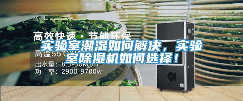 實驗室潮濕如何解決，實驗室除濕機如何選擇！