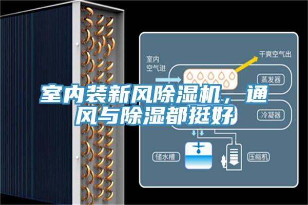 室內(nèi)裝新風(fēng)除濕機(jī)，通風(fēng)與除濕都挺好