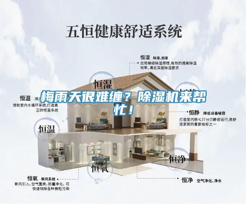 梅雨天很難纏？除濕機(jī)來幫忙！