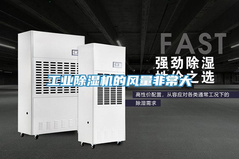 工業(yè)除濕機(jī)的風(fēng)量非常大