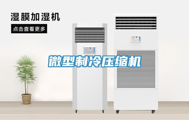 微型制冷壓縮機(jī)