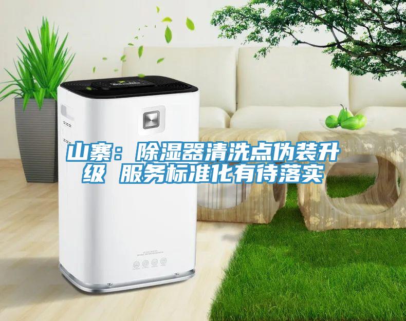 山寨：除濕器清洗點偽裝升級 服務(wù)標準化有待落實