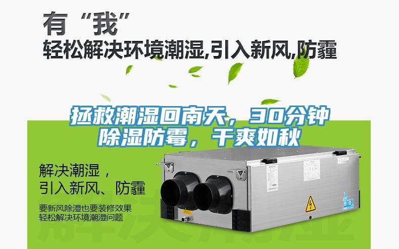 拯救潮濕回南天，30分鐘除濕防霉，干爽如秋