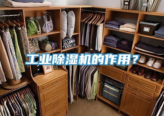 工業(yè)除濕機(jī)的作用？