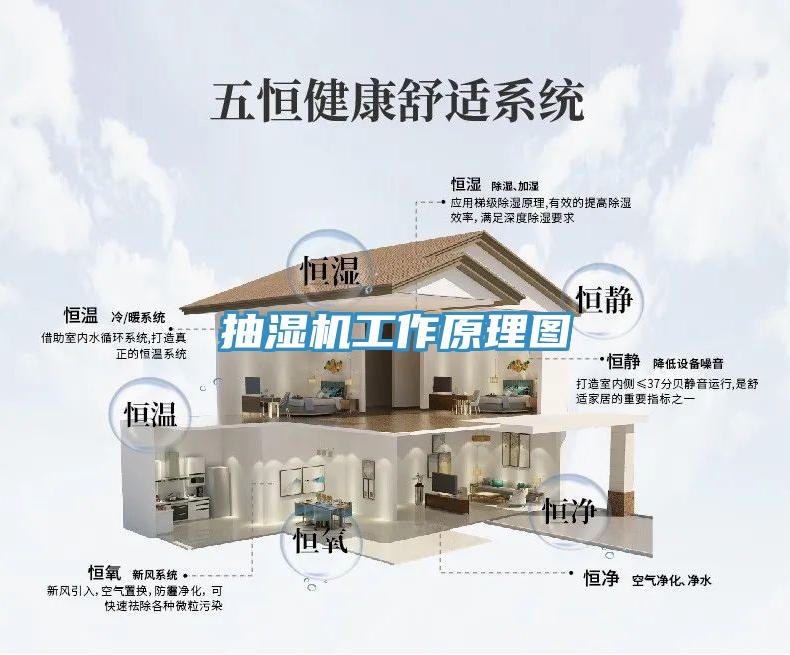 抽濕機(jī)工作原理圖