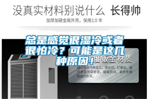 總是感覺很濕冷或者很怕冷？可能是這幾種原因！