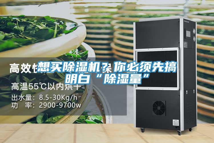 想買除濕機(jī)？你必須先搞明白“除濕量”