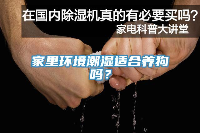 家里環(huán)境潮濕適合養(yǎng)狗嗎？