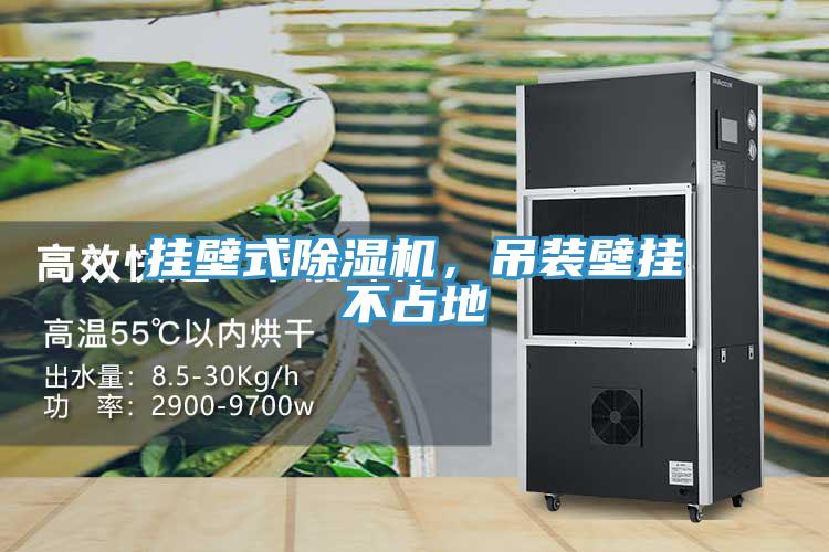 掛壁式除濕機(jī)，吊裝壁掛不占地