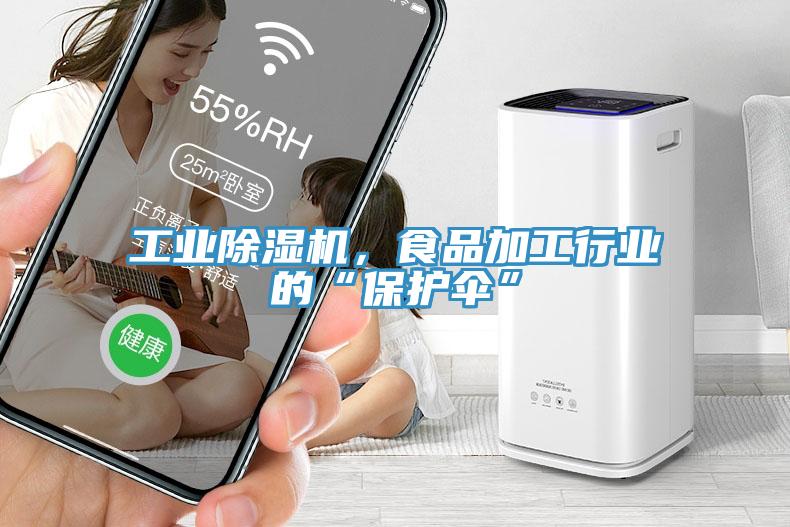 工業(yè)除濕機(jī)，食品加工行業(yè)的“保護(hù)傘”