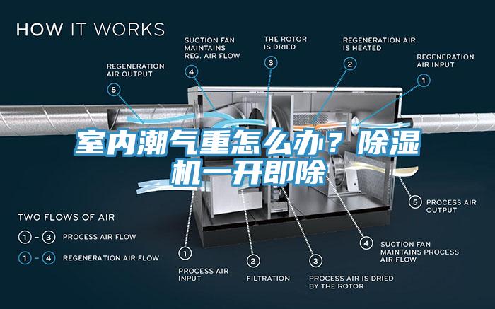 室內(nèi)潮氣重怎么辦？除濕機(jī)一開即除