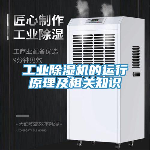 工業(yè)除濕機(jī)的運(yùn)行原理及相關(guān)知識