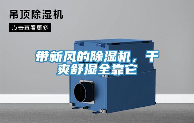 帶新風的除濕機，干爽舒濕全靠它