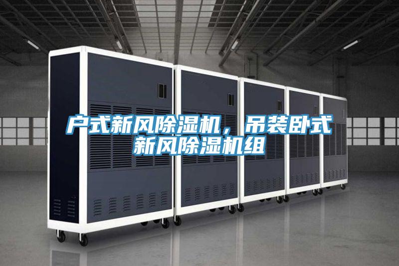 戶式新風(fēng)除濕機(jī)，吊裝臥式新風(fēng)除濕機(jī)組