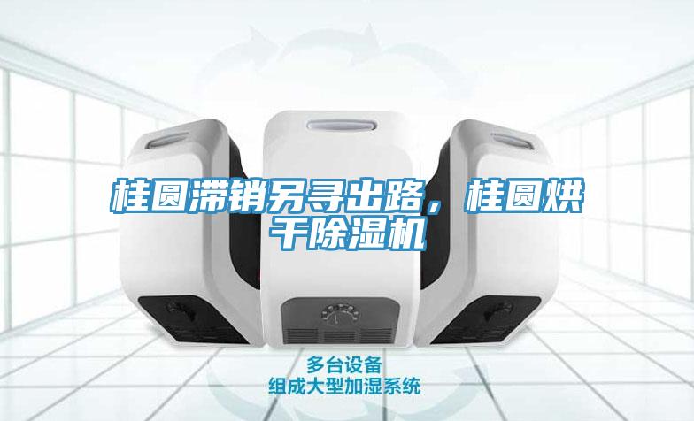 桂圓滯銷另尋出路，桂圓烘干除濕機(jī)