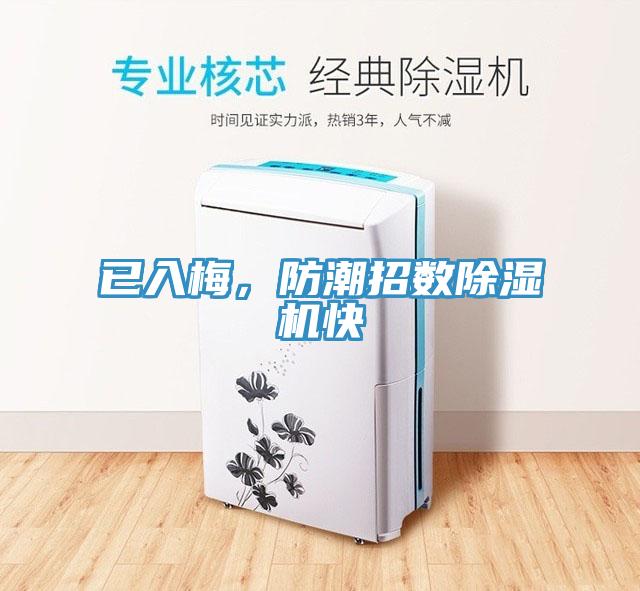 已入梅，防潮招數(shù)除濕機(jī)快