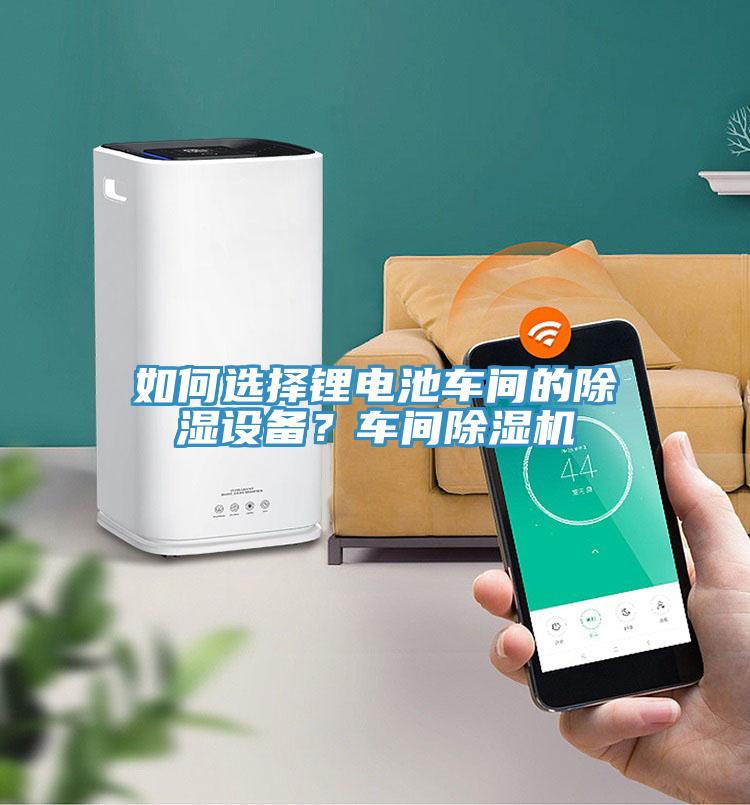 如何選擇鋰電池車(chē)間的除濕設(shè)備？車(chē)間除濕機(jī)
