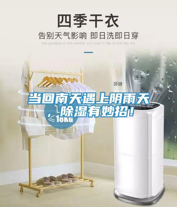 當(dāng)回南天遇上陰雨天，除濕有妙招！