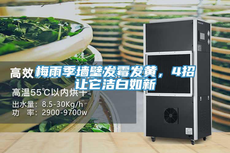 梅雨季墻壁發(fā)霉發(fā)黃，4招讓它潔白如新