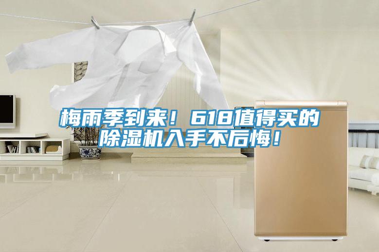 梅雨季到來(lái)！618值得買(mǎi)的除濕機(jī)入手不后悔！