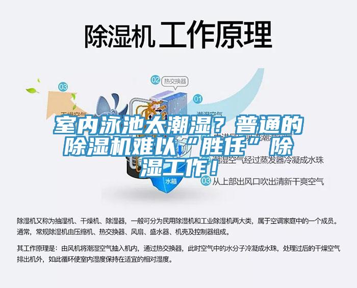 室內(nèi)泳池太潮濕？普通的除濕機(jī)難以“勝任”除濕工作！