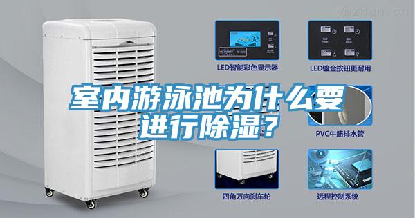 室內(nèi)游泳池為什么要進行除濕？