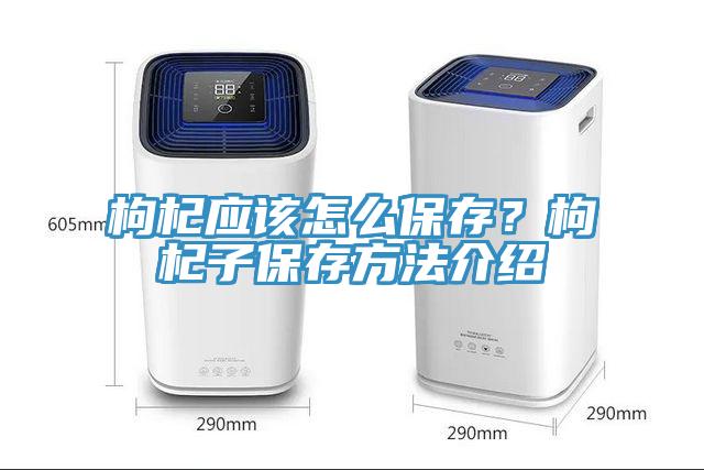 枸杞應(yīng)該怎么保存？枸杞子保存方法介紹