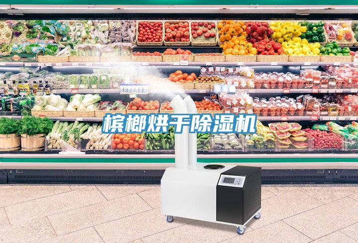 檳榔烘干除濕機(jī)