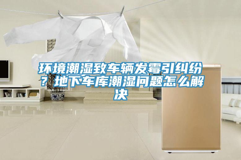 環(huán)境潮濕致車輛發(fā)霉引糾紛？地下車庫潮濕問題怎么解決