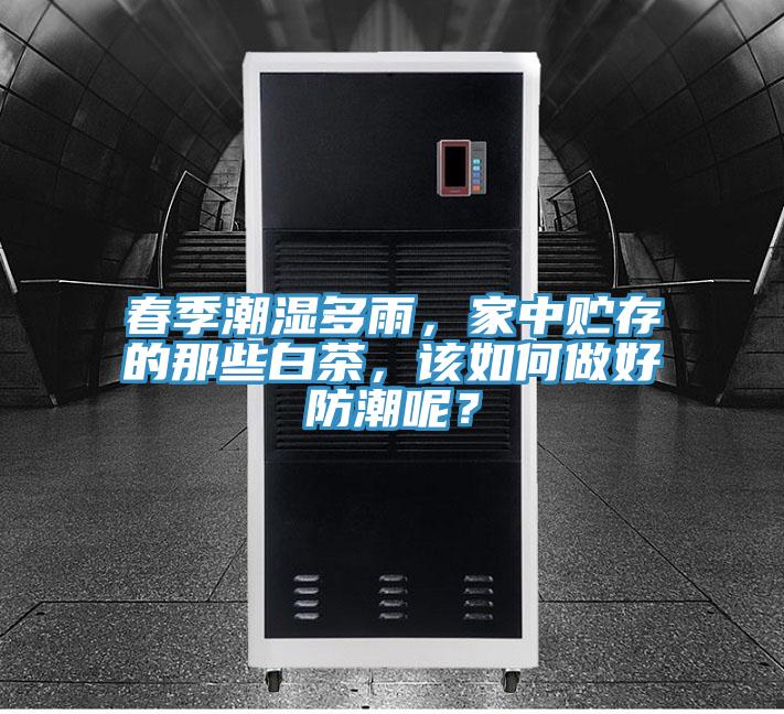 春季潮濕多雨，家中貯存的那些白茶，該如何做好防潮呢？