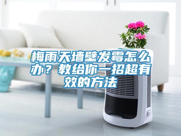 梅雨天墻壁發(fā)霉怎么辦？教給你一招超有效的方法