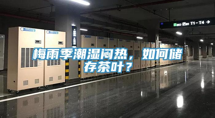 梅雨季潮濕悶熱，如何儲(chǔ)存茶葉？