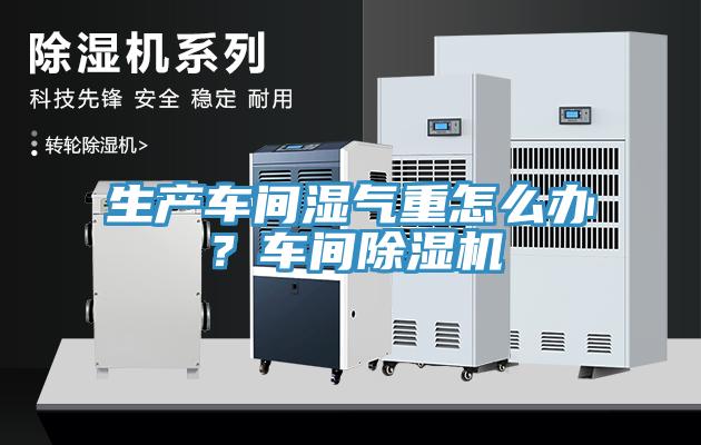 生產(chǎn)車間濕氣重怎么辦？車間除濕機(jī)