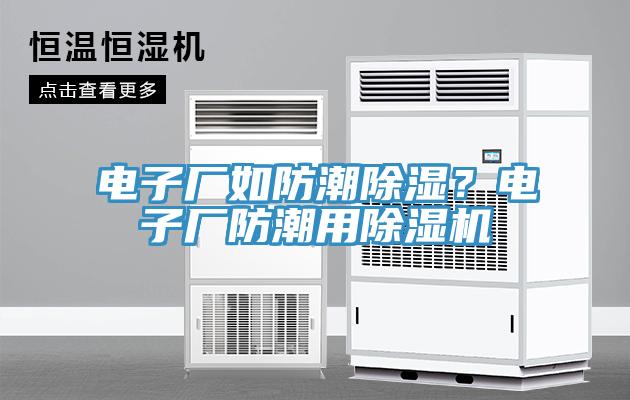 電子廠如防潮除濕？電子廠防潮用除濕機(jī)