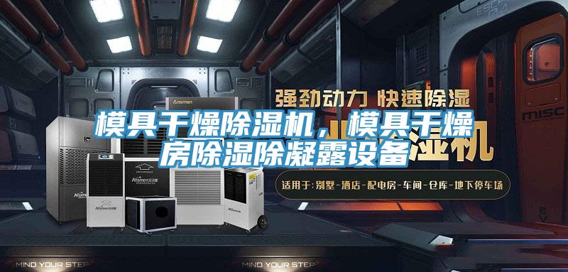 模具干燥除濕機，模具干燥房除濕除凝露設備