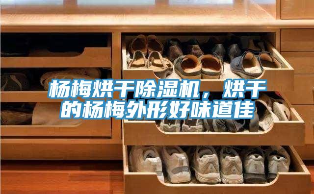 楊梅烘干除濕機(jī)，烘干的楊梅外形好味道佳