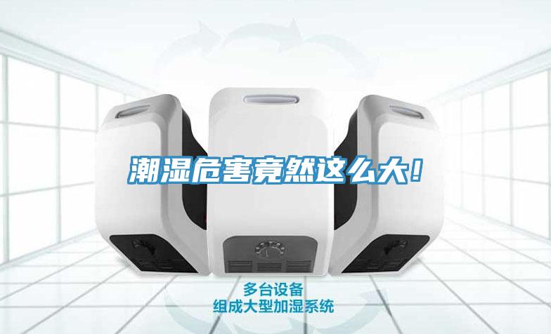 潮濕危害竟然這么大！