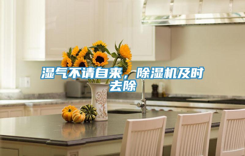 濕氣不請自來，除濕機(jī)及時(shí)去除