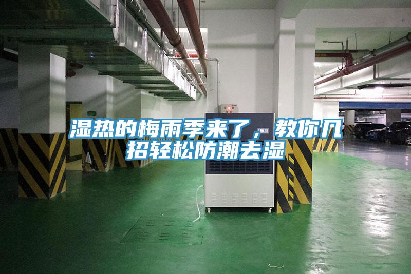 濕熱的梅雨季來了，教你幾招輕松防潮去濕