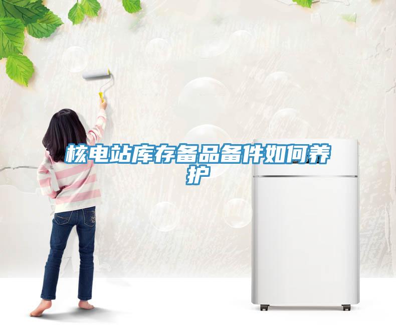 核電站庫存?zhèn)淦穫浼绾勿B(yǎng)護(hù)