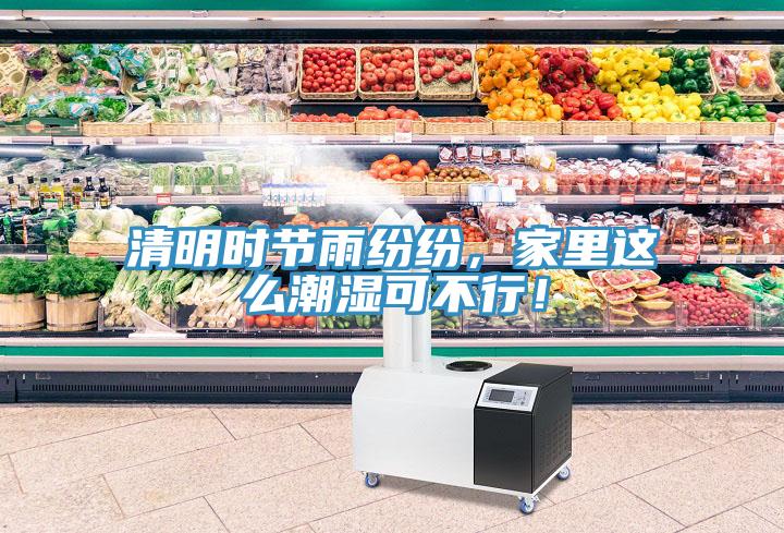 清明時節(jié)雨紛紛，家里這么潮濕可不行！