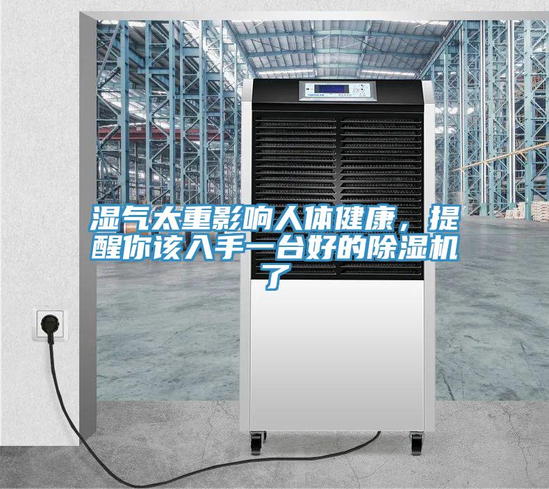 濕氣太重影響人體健康，提醒你該入手一臺(tái)好的除濕機(jī)了