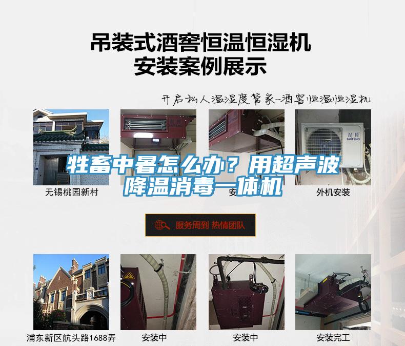 牲畜中暑怎么辦？用超聲波降溫消毒一體機(jī)